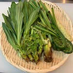 Kaisensumibisakabauoharu - 山菜