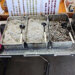 土佐角弘海産 - しらすコーナー