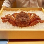 Sushi Shirokane Saeki - 