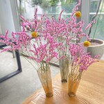 Nicolai Bergmann NOMU - 