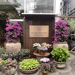 Nicolai Bergmann NOMU aoyama - 