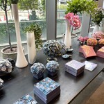 Nicolai Bergmann NOMU aoyama - 