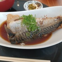 うおまん 西梅田本店 - 鯖煮つけ