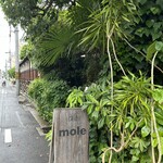 MOLE - 