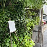 MOLE - 