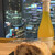 SHARE LOUNGE - 料理写真: