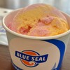 ブルーシールパーラー - 