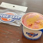 BLUE SEAL - 