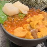 Sapporo nijou ichiba ooiso - ミニ2食丼に帆立
