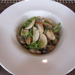 タヴェルナ　エッセ - 小松菜を練りこんだ自家製タリオリーニ・伊勢産牡蠣とハクレイ蕪のソース