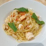 CIBO VERA PASTA - 