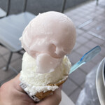 Happy scoopy - 