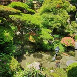 小淵沢 井筒屋 - 