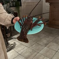 チェルカ トローヴァ - 
