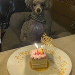 Porter House Steak & Grill