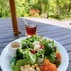 ミントガーデン - サラダ少なめ