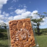 248446923 - 五稜郭にて