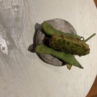 ル スプートニク - 