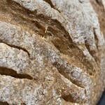 此方 - スペルト小麦（全粒）