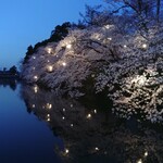 安茂里 - 水辺の夜桜