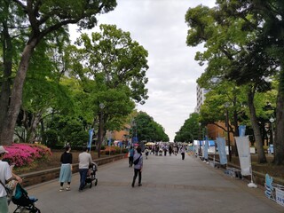 Shusai Mem Bou Oogi - 参考.横浜公園から日本大通り方向 かながわMIRAIストリートというイベントが行われていました