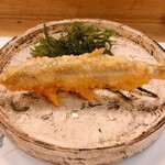 穴子料理と地酒 浅草 川井 - 