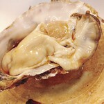 穴子料理と地酒 浅草 川井 - 