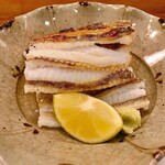 穴子料理と地酒 浅草 川井 - 