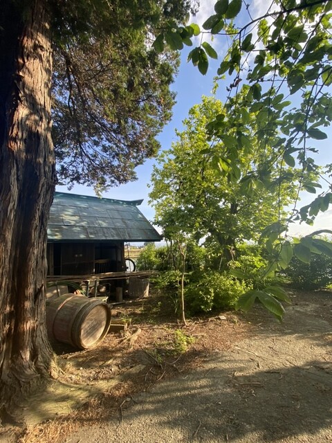 農家民宿 穂多瑠（ノウカミンシュク ホタル） - 新鶴（その他）の写真