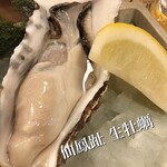 穴子料理と地酒 浅草 川井 - 