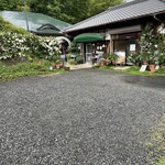 村のピザ屋 カンパーニャ - 雨上がりにバラが見頃