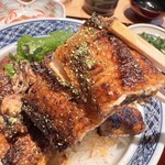 Hamamatsujiyaki Unagi Masa - 