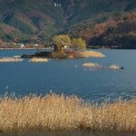 みうらうどん - 普段は離島
