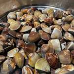 極蜆鍋物 - 料理写真: