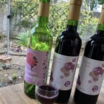 サニーデイズキッチン - 