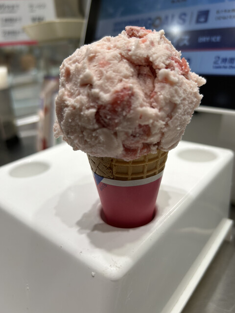 サーティワンアイスクリーム イオンモール橿原店 - 金橋/ジェラート