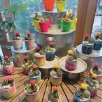 Little Darling Coffee Roasters - 