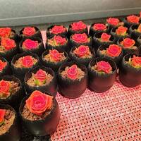 オールデイダイニング リモネ(リーガロイヤルホテル大阪) - 