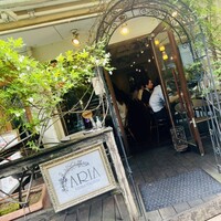 クッチーナ イタリアーナ アリア 六本木 -  クッチーナ イタリアーナ アリア 六本木 -