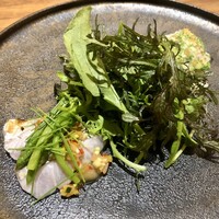 Selvaggio - 