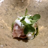 Selvaggio - 