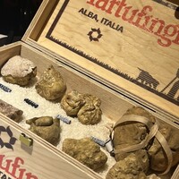 マルゴット エ バッチャーレ - 