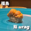 鮨 urag