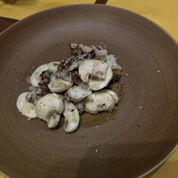 舵 - 
