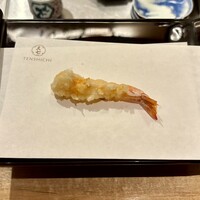 天七 - 車海老 1/2