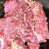 焼肉居酒屋 新撰組 三宮店