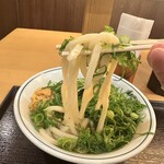 瀬戸うどん - 