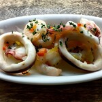 バルマル - サルビコン