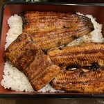 Unagi Ryouriatsumi - 