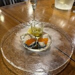 Seafood bar Ermitage 代々木店 - 